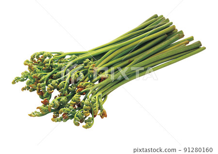 Bracken_08 (with pass) Bracken_08 (with pass) 91280160