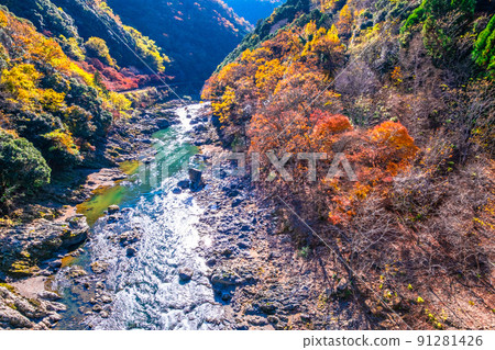 Autumn leaves of Hozu Gorge Autumn leaves of Hozu Gorge 91281426