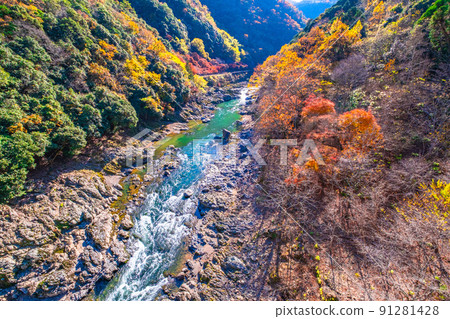 Hozu峽谷秋葉 Hozu峽谷秋葉 91281428