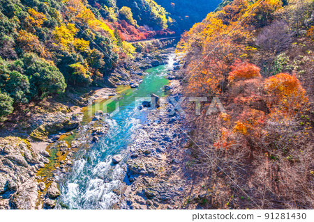 Hozu峽谷秋葉 Hozu峽谷秋葉 91281430
