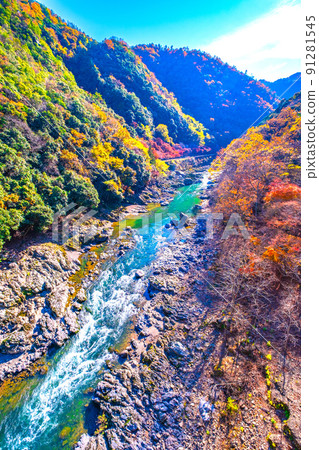 Autumn leaves of Hozu Gorge 91281545