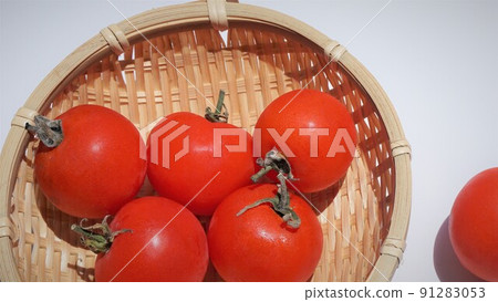 Tomato Tomato 91283053