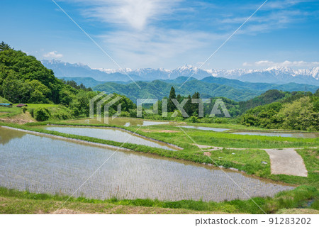 [初夏]原田附近的梯田[日本100個梯田] 91283202