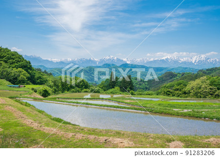[初夏]原田附近的梯田[日本100個梯田] 91283206