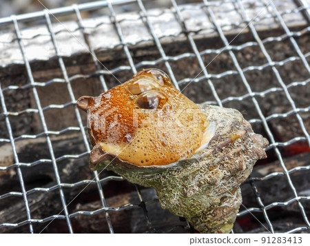 Spicy barbecue Spicy barbecue 91283413