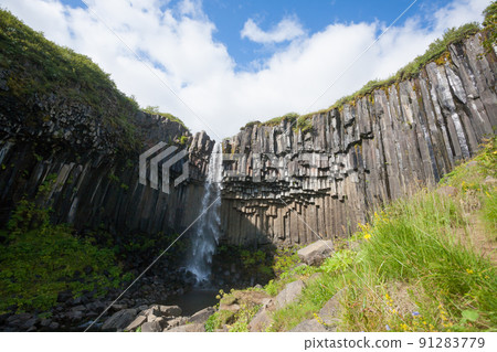 Svartifoss falls in summer season view, Iceland Svartifoss falls in summer season view, Iceland 91283779