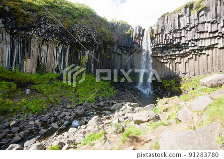 Svartifoss falls in summer season view, Iceland Svartifoss falls in summer season view, Iceland 91283780