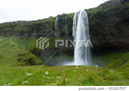 Seljalandsfoss falls in summer season view, Iceland 91283787