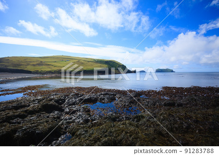 Vestmannaeyjar island beach day view, Iceland landscape. Alsey island Vestmannaeyjar island beach day view, Iceland landscape. Alsey island 91283788