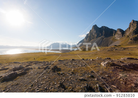 Hvalnes lava beach landscape, east Iceland landmark 91283810