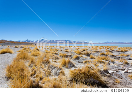 Bolivian lagoon landscape,Bolivia 91284109