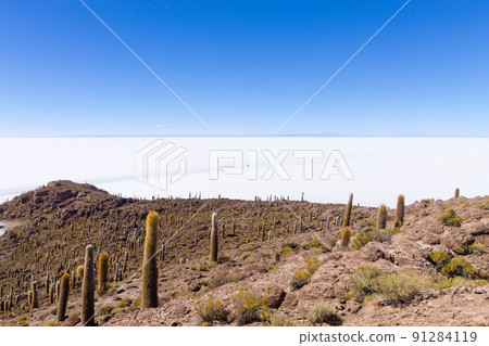 Salar de Uyuni view from Isla Incahuasi 91284119