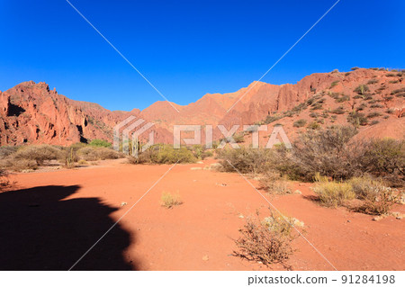 Bolivian canyon near Tupiza,Bolivia 91284198