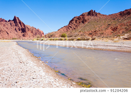 Bolivian canyon near Tupiza,Bolivia 91284206