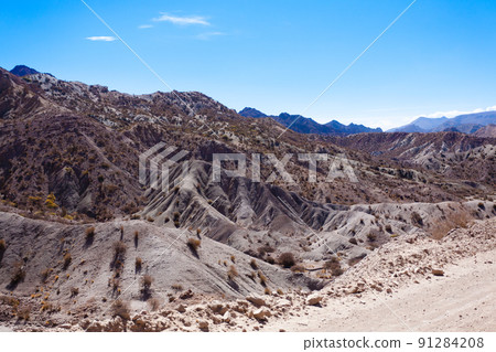 Bolivian canyon near Tupiza,Bolivia 91284208