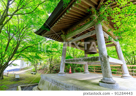 初夏的能宮山觀音寺，福岡縣笹栗町 91284443