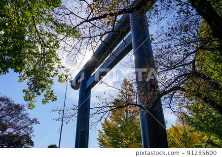 Akibare Yasukuni Shrine Daiichi Torii (Chiyoda-ku, Tokyo) 91285600