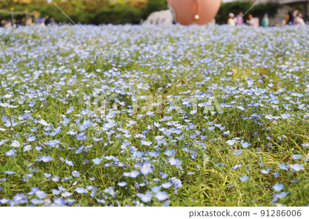 三重縣桑名市長島町名花之裡 91286006