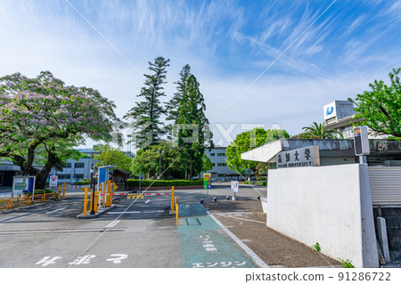 Kochi University, Kochi City, Kochi Prefecture, a national university corporation in fine weather 91286722