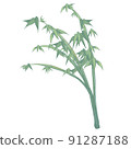 竹草 91287188