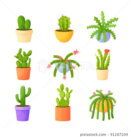 Cartoon home cacti in pots. Cactus plant, succulent flower, garden flowerpot prickly houseplant, mexican exotic green plants with thorns, set flat exact icons vector illustration Cartoon home cacti in pots. Cactus plant, succulent flower, garden flowerpot prickly houseplant, mexican exotic green plants with thorns, set flat exact icons vector illustration 91287209