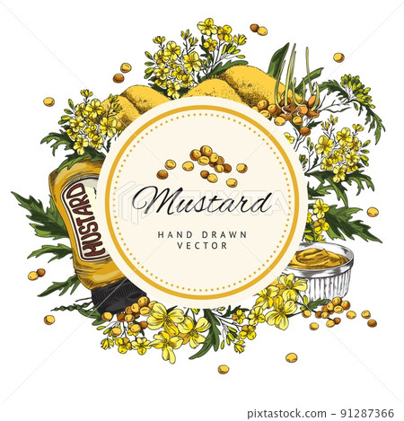Round frame with hand drawn mustard sauce, plants and seeds, sketch style 91287366