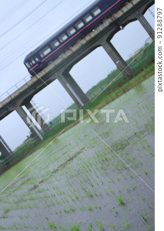 485系列榻榻米房車“Hana”在雨中行駛的武藏野線_2022/5/14拍攝 91288797