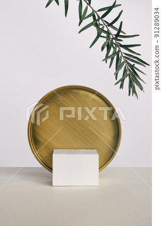 Geometric pedestal with copper disk on background and tropical branch 91289034