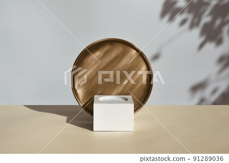 Empty geometric white podium with round plate, shadows from plant branches 91289036