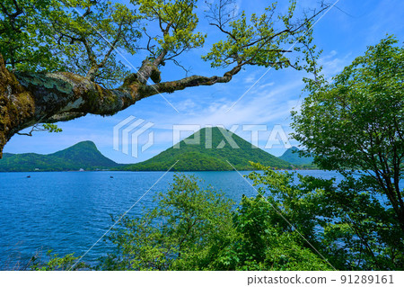從群馬縣榛名湖南岸的樹林中欣賞榛名富士和烏干岳 從群馬縣榛名湖南岸的樹林中欣賞榛名富士和烏干岳 91289161