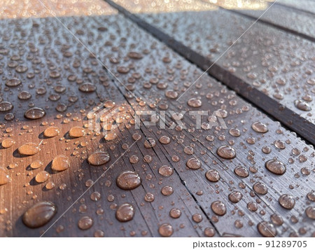 Many drops of water on a dark tree 91289705