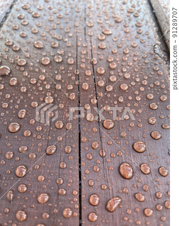 Many drops of water on a dark tree 91289707