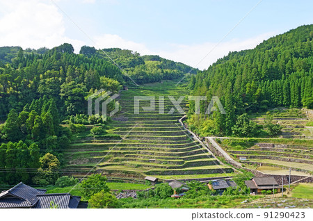 福岡縣八女市星之村100個日本梯田 福岡縣八女市星之村100個日本梯田 91290423