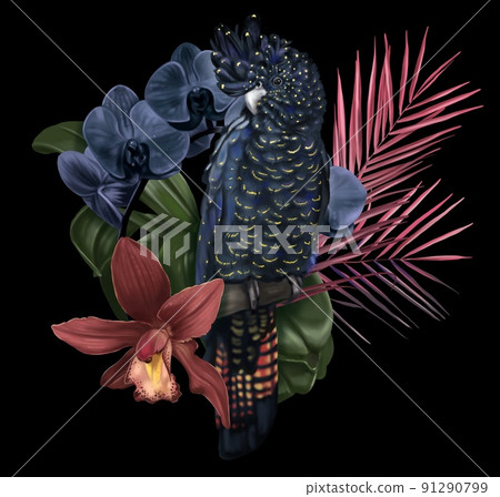 Bird of Paradise. Tropical bouquet. black cockatoos, palm leaves, cymbidium and orchids. realistic illustration. 91290799