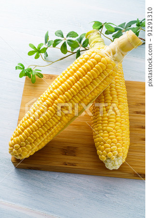 Corn Corn 91291310