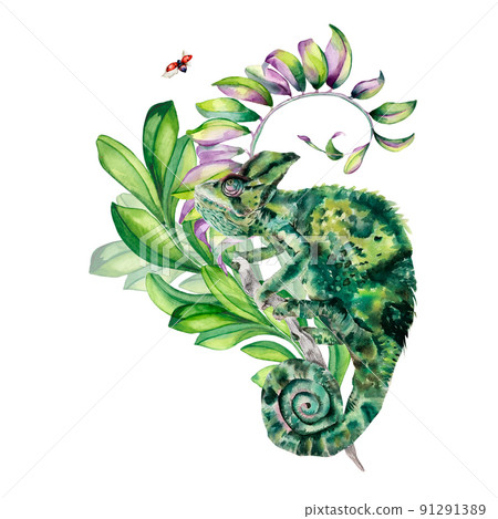 Chameleon, colorful summer leaves watercolor illustration on white. Chameleon, colorful summer leaves watercolor illustration on white. 91291389