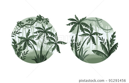 Tropical palm trees set. Jungle misty rainforest landscape in round shape vector illustration Tropical palm trees set. Jungle misty rainforest landscape in round shape vector illustration 91291456