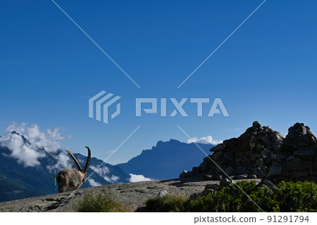 Tour de Mont Blanc 91291794