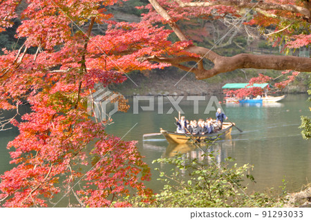 在紅葉的高潮中沿著保津川航行的觀光船 在紅葉的高潮中沿著保津川航行的觀光船 91293033
