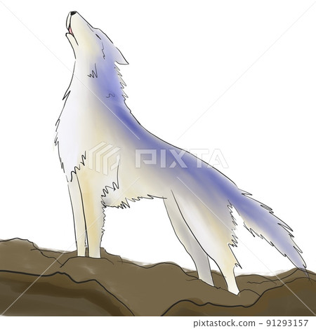 狼嚎叫 狼嚎叫 91293157