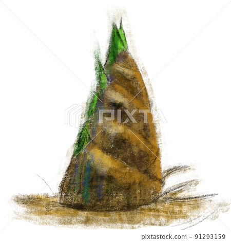 生長旺盛的竹筍 生長旺盛的竹筍 91293159