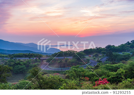 View of Sagami Bay from the Izu Skyline Road (dawn) View of Sagami Bay from the Izu Skyline Road (dawn) 91293255