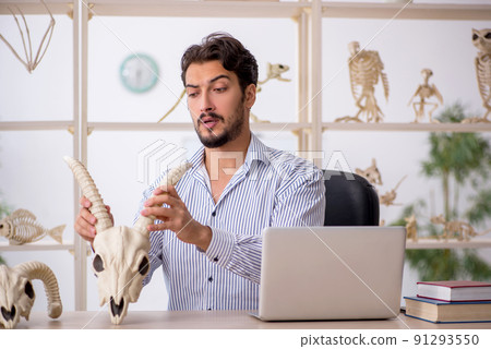 Young male paleontologist examining ancient animals at lab Young male paleontologist examining ancient animals at lab 91293550