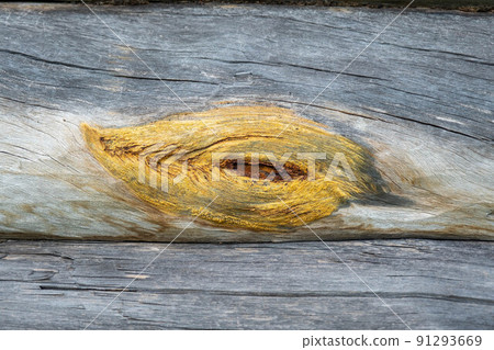 The texture of an old wooden board with a place where there was a branch on a tree trunk The texture of an old wooden board with a place where there was a branch on a tree trunk 91293669