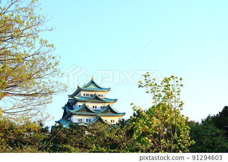 Nagoya city, scenery of Nagoya castle in spring Nagoya city, scenery of Nagoya castle in spring 91294603
