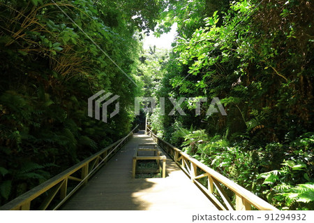 Sarushima clearance (fortress trace) Sarushima clearance (fortress trace) 91294932