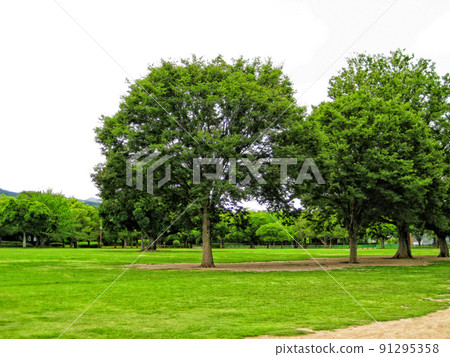 [Kumamoto] Ninomaru Square in Kumamoto Castle 91295358