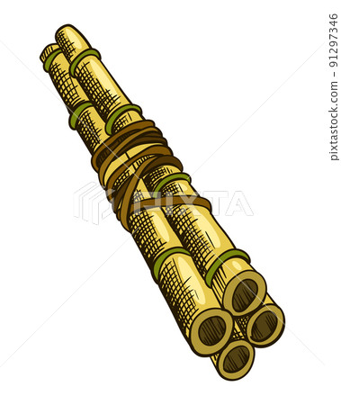 Cane sugar. Sugarcane plant. Engraving hand drawn natural organic food or natural ingredient. Fresh sugar bamboo Cane sugar. Sugarcane plant. Engraving hand drawn natural organic food or natural ingredient. Fresh sugar bamboo 91297346