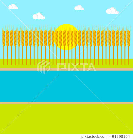 Wheat field background with river and sun. Summer landscape. Simple style. Vector illustration. Clipart and drawing. 91298164