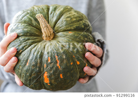 Autumnal Background. Unrecognizable woman, hand holding in hands autumn fall pumpkin isolated on white background. Change of seasons ripe organic food concept, Halloween party Thanksgiving day Autumnal Background. Unrecognizable woman, hand holding in hands autumn fall pumpkin isolated on white background. Change of seasons ripe organic food concept, Halloween party Thanksgiving day 91299116